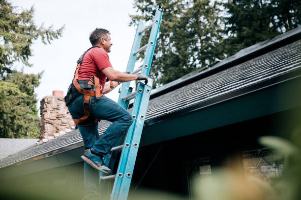 Best Roof Moss and Algae Removal  in Elkhorn City, KY